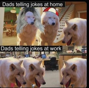 Stupid Bar Memes dadsstomesvssw