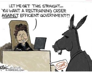 Stupid Bar Memes democratssjstrainingsord