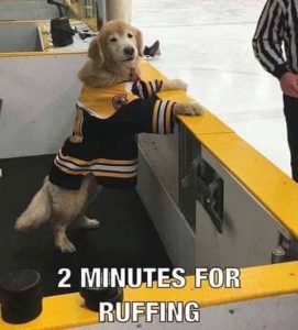 Stupid Bar Memes dog2sminutessforsru