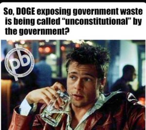 Stupid Bar Memes dogesexpmentswastesc