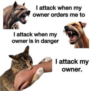 Stupid Bar Memes dogsaeatensownerscatsb