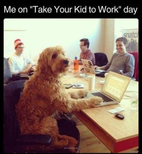 Stupid Bar Memes dogscomidsworksday