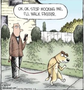 Stupid Bar Memes dogsmoswalksfastersph