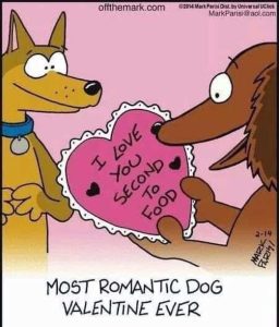 Stupid Bar Memes dogsvalentinesondsto