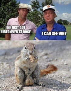 Stupid Bar Memes e9a40828fbfc467
