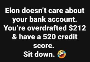 Stupid Bar Memes elonsdonksaccountscr