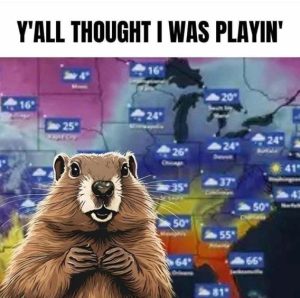 Stupid Bar Memes fa2f626c8b5758