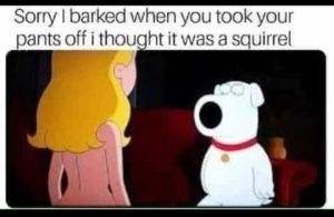 Stupid Bar Memes fec3e5e4044e25