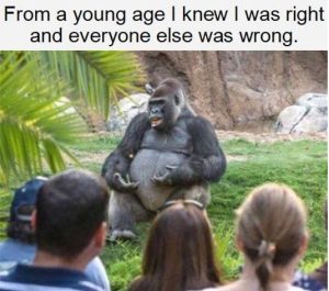 Stupid Bar Memes fromsyowsiswassright