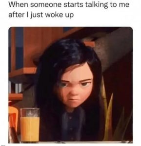 Stupid Bar Memes funhighs41s41b7fd