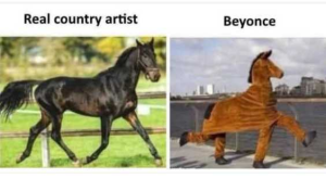 Stupid Bar Memes horse reatist beyonc