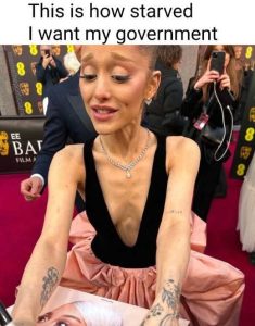Stupid Bar Memes howtsmysgovernment
