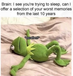 Stupid Bar Memes kermitsbgstossleepswor