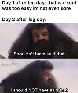 Stupid Bar Memes legsdayseouldntsha