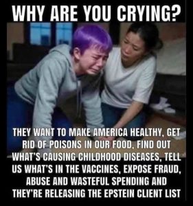 Stupid Bar Memes liberalscryingsepsteinsfraudswas
