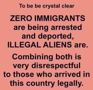 Stupid Bar Memes messagesztssdeported