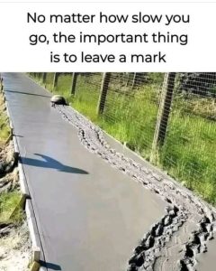 Stupid Bar Memes messnosmattershowsslo