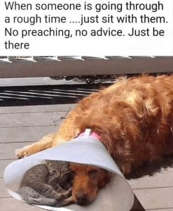 Stupid Bar Memes moughstimesdogscon
