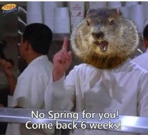 Stupid Bar Memes seinfsnossprin