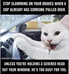 Stupid Bar Memes stopsskesscopspulled