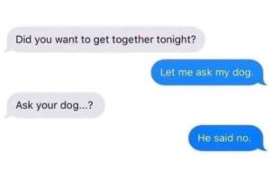Stupid Bar Memes texsksdogssaid