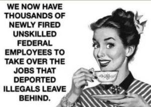 Stupid Bar Memes thousandsslledsfired
