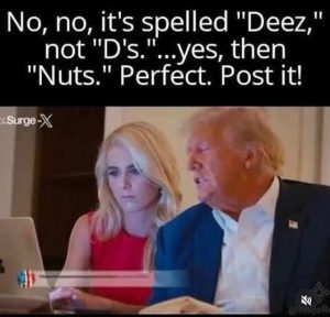 Stupid Bar Memes trsspelledsdeezsnutz
