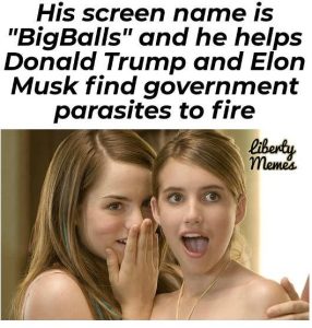 Stupid Bar Memes womemesbigsballsshelp