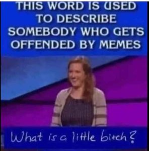 Stupid Bar Memes wordsndedsbyssssl