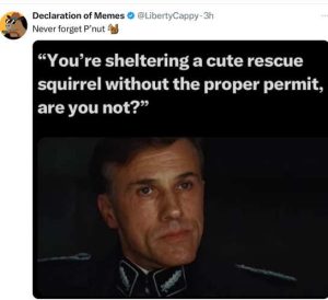 Stupid Bar Memes xsanutssheltering