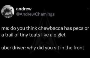 Stupid Bar Memes xsccssteetsspigletsub