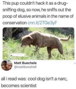 Stupid Bar Memes xscouldgsdogsnosn