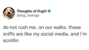 Stupid Bar Memes xsthousdontsrushsmesw