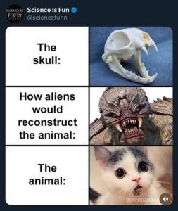 Stupid Bar Memes 031724ssers29s618x732