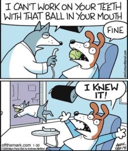 Stupid Bar Memes 032124ssers57s618x730