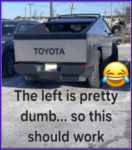 Stupid Bar Memes 1d9b44b7196b343