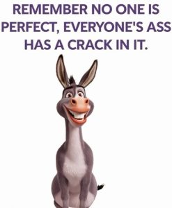 Stupid Bar Memes 30dcc46b0cb88fd