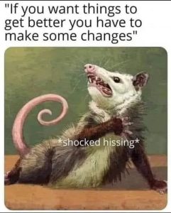 Stupid Bar Memes 37631f4e59888