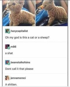 Stupid Bar Memes 4053b71c83a26da