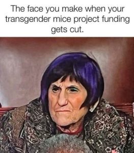 Stupid Bar Memes 47baf6773353