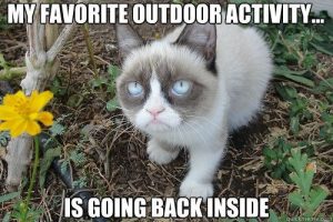 Stupid Bar Memes 4c32d80da8