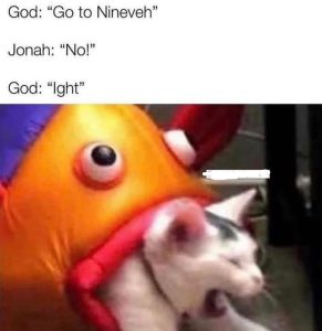Stupid Bar Memes 58523242868