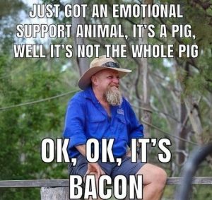 Stupid Bar Memes 64d2b234f60266dd3