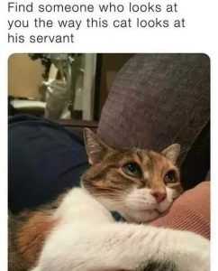 Stupid Bar Memes 67c02cbc3bb1f 1