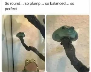 Stupid Bar Memes 67c02ccddad3b 1