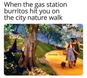 Stupid Bar Memes 67c30fb3af5dc