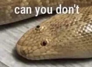 Stupid Bar Memes 67c3b137f01d7