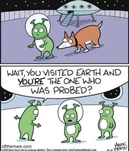 Stupid Bar Memes 67c3e3123b724