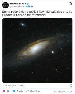 Stupid Bar Memes 67c6c67542fb0