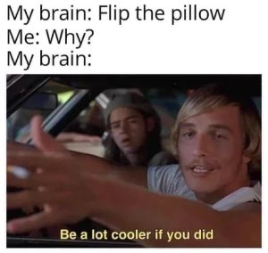 Stupid Bar Memes 67c81bc4aaaf4